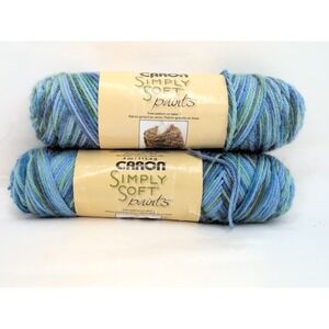 Caron Simply Soft Paints Yarn 2 Skeins In Spring Brook, NEW